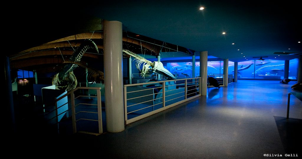 Museo di Storia Naturale