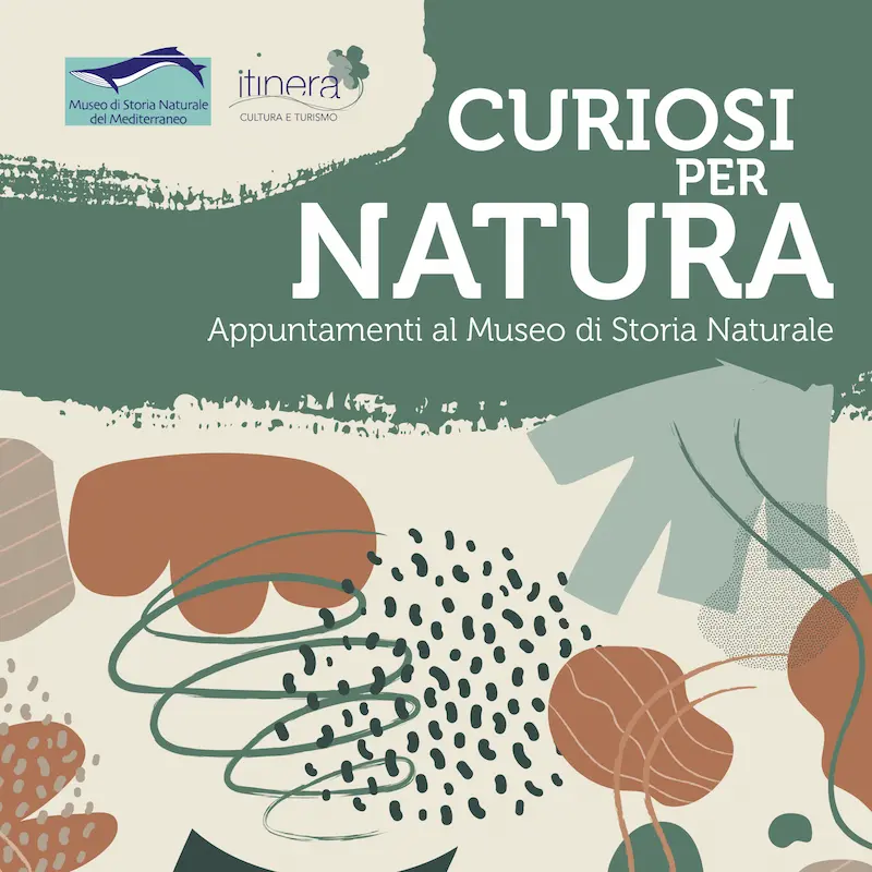 Curiosi per Natura MusMed