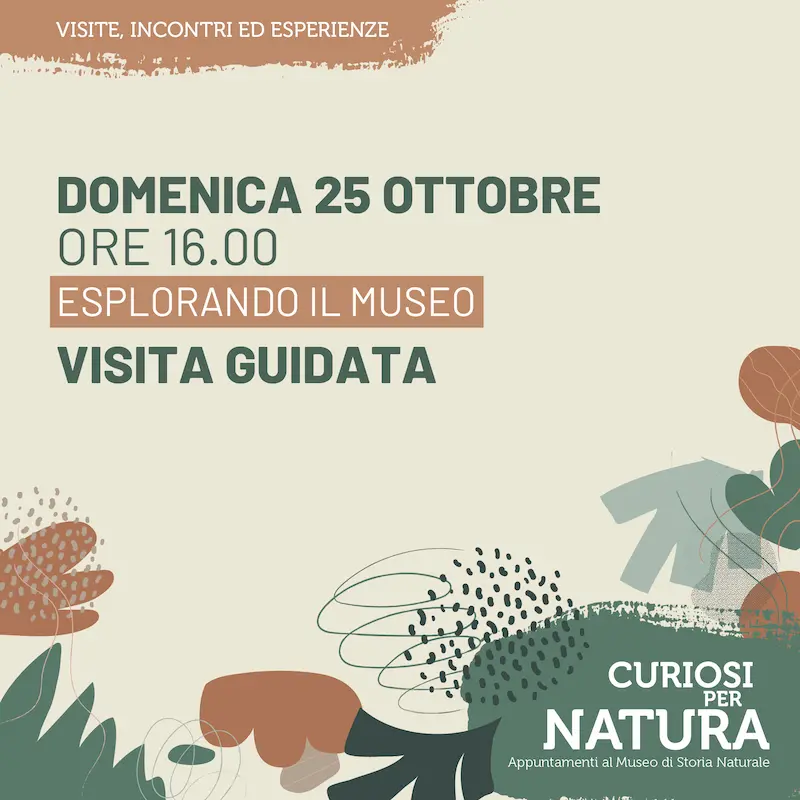 Un viaggio tra le meraviglie del Mediterraneo