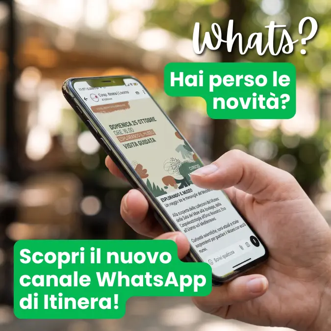 Scopri il nuovo canale WhatsApp di Itinera!