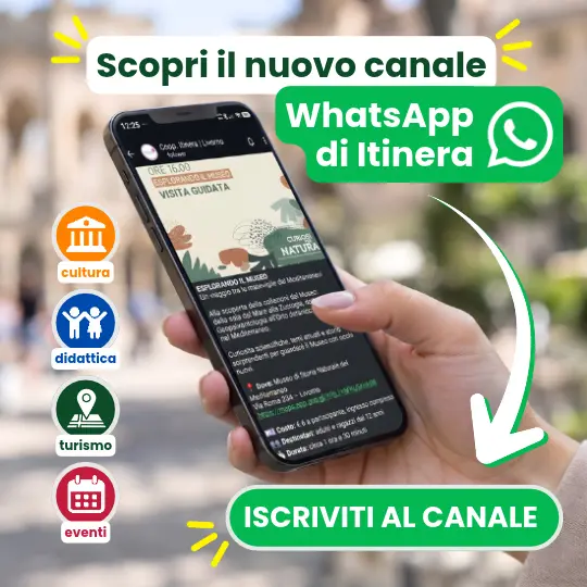 Scopri il nuovo canale WhatsApp di Itinera!