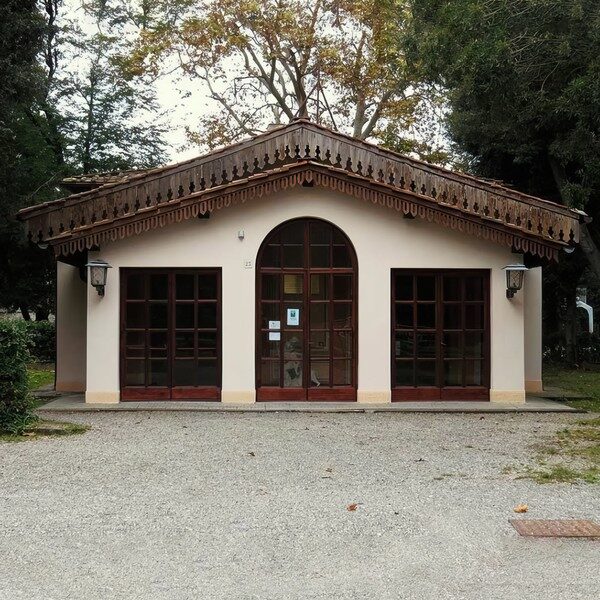 Biblioteca-dei-Ragazzi