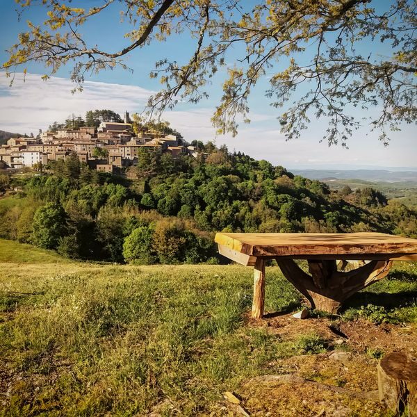 Gerfalco-600x600-28-01-2025